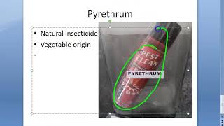 PSM 821 Insecticide Pyrethrum [upl. by Juxon]