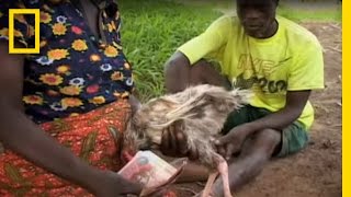 Witches of Ghana  National Geographic [upl. by Gabbert726]