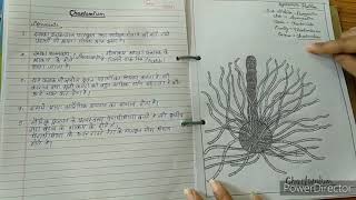 Botany practical file Bsc 1st year [upl. by Sedgewake442]