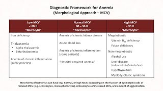 Anemia Lesson 1  Diagnostic Frameworks [upl. by Nnoj]