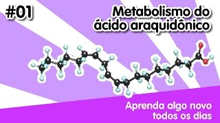 AANTD 01 Metabolismo do Ácido Araquidônico [upl. by Ail]