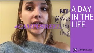 WashU  Washington University in St Louis College Dorm Room Tour [upl. by Verna]