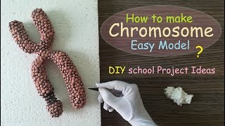 Making Chromosome Model  Styrofoam Carving [upl. by Blasius]