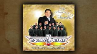 Mix Angeles de Charly 2 [upl. by Merola803]