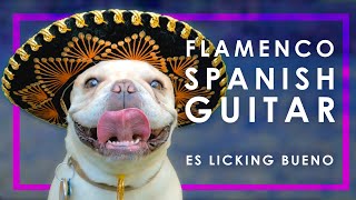 9 HOUR FLAMENCO SPANISH GUITAR  RELAXING ACOUSTIC GUITAR INSTRUMENTAL MUSIC FOR STUDYING [upl. by Zephaniah61]