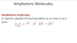 Amphoteric Molecules [upl. by Materi513]