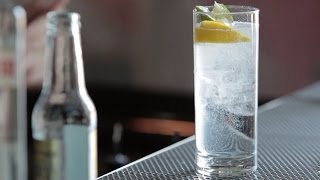 How to Make the Gin amp Tonic  Liquorcom [upl. by Morgan650]