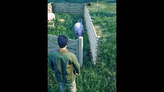 TECHNO GAMERZ RANCH SIMULATOR GAMEPLAY SHOTS10 [upl. by Barrada]