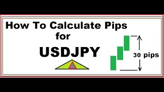 How To Calculate Pips for USDJPY GBPJPY EURJPY [upl. by Ecinrev]