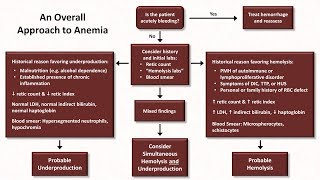 Anemia Lesson 5  An Approach to Diagnosis [upl. by Millman152]