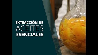 Extracción de Aceites Esenciales  Instituto Sabin [upl. by Nevar]