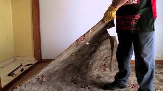 How To Remove Carpet  DIY At Bunnings [upl. by Tiffanie]