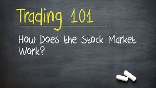 Trading 101 How Does the Stock Market Work [upl. by Ennayt]