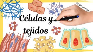 CÉLULAS y TEJIDOS [upl. by Eceinwahs]