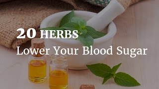 20 Herbs that Effectively Lower Blood Sugar [upl. by Ema244]