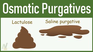 Osmotic Purgatives Lactulose Polyethylene Glycol etc [upl. by Maris]