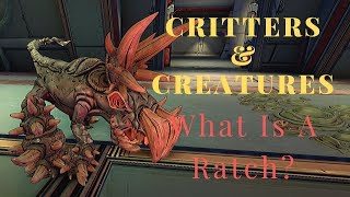 Creatures and Critters  The Ratch  Borderlands 3 [upl. by Yves]