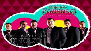 Conjunto Primavera Cumbias Inmortales DJ TOEZ [upl. by Gil]