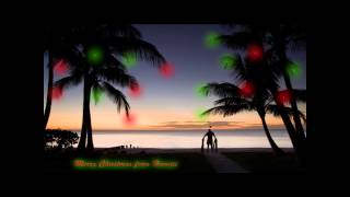 Winter Wonderland  Hawaiian Santa  The Makaha Sons Lyrics on descliption [upl. by Resor]