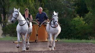 Why the TwoWheel Chariot Was So Effective in Ancient Battles [upl. by Bein]