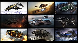 STAR CITIZEN  MY FLEET AND THE REASONS BEHIND IT 3 [upl. by Gervase]