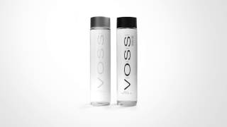 VOSS WATER MX [upl. by Sauder587]