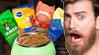 Whats The Best Dog Food Taste Test [upl. by Pollitt]