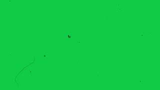 Vintage VHS Green Screen  old film grain overlay  scratches [upl. by Bull934]