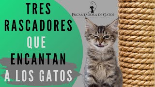 ¿QUÉ RASCADORES LE GUSTAN MÁS A LOS GATOS  Encantadora de Gatos [upl. by Giglio]