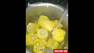 ചോളം ഇങ്ങനെ ഉണ്ടാക്കി നോക്കുcholam recipecholam puzungiyad recipe Malayalamshortsfaazcooking [upl. by Colfin]