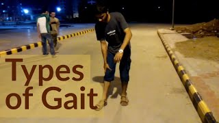 TYPES OF GAIT [upl. by Goodwin]