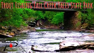 Trout Fishing Fall Creek Falls State Park [upl. by Adnical285]