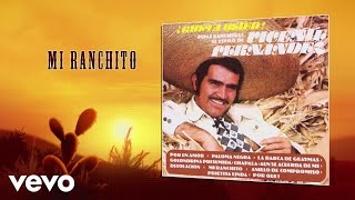 Vicente Fernández  Mi Ranchito Cover Audio [upl. by Yawnoc784]