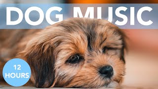 PUPPY MUSIC  12 Hours of Soothing Lullabies for Dogs amp Puppies [upl. by Carlton506]