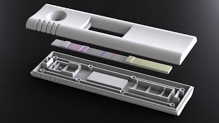 DCN Diagnostics Lateral Flow Assay Development [upl. by Jankey]