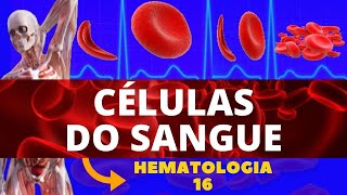 CÉLULAS DO SANGUE E SUAS FUNÇÕES COMPOSIÇÃO SANGUÍNEA  HEMATOLOGIA [upl. by Azar141]