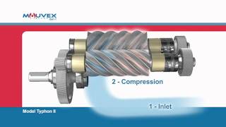 Screw Compressor Principle Mouvex Overview [upl. by Llerrej]