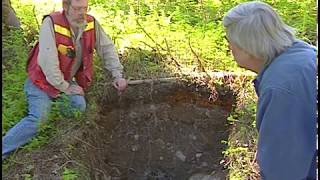 Soil Formation Processes in Podzols at the Lunate Creek Research Area [upl. by Narayan]