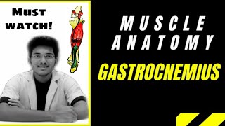 Gastrocnemius Muscle Anatomy  Lower Limb  Medseed MBBS [upl. by Quinta]