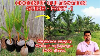 தென்னை சாகுபடி தொகுப்பு பகுதி1  COCONUT CULTIVATION GUIDE PART1 [upl. by Hedda]