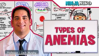 Hematology  Types of Anemias [upl. by Ellinnet]