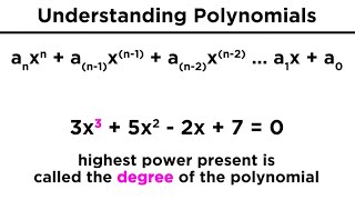 Introduction to Polynomials [upl. by Ielarol]