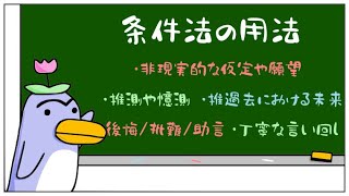 フランス語の条件法（Conditionnel）～その②：用法まとめ【聞き流し】 [upl. by Ennavoj]