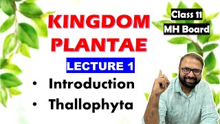 Thallophyta Kingdom Plantae Lecture 1  Class 11 Biology  Maharashtra State Board [upl. by Daugherty311]