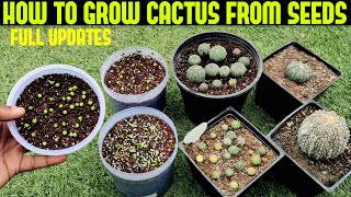 Grow Cactus From Seed100 SUCCESS RATE [upl. by Eikcuhc]