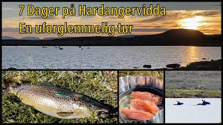 Hardangervidda  Fisketur  Sant [upl. by Ecnirp]