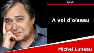 A vol doiseau  Poésie  Michel Luneau [upl. by Bahr269]