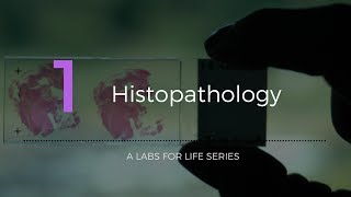 Histopathology [upl. by Nyvets546]