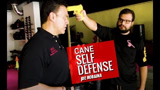 Self Defense Tips Cane Tactics  Canes for Personal Defense [upl. by Anyr]