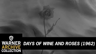 Theme Song  Days of Wine and Roses  Warner Archive [upl. by Omsoc]